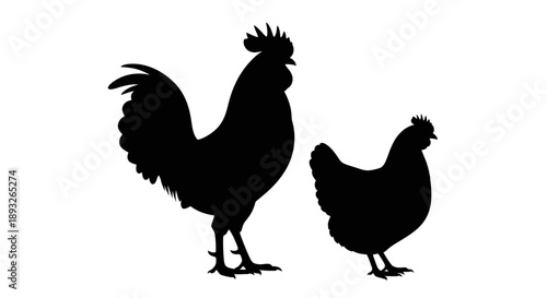Rooster and Hen Silhouette Standing Together.