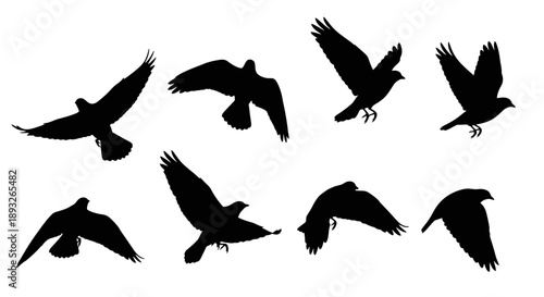 Group of Flying Birds Silhouettes.
