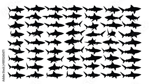 Repeating pattern of sharks Vector