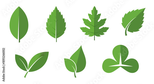 Collection of Various Green Leaf Shapes.