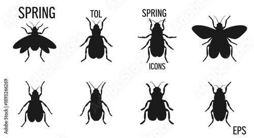 Collection of Insect Silhouettes in Various Positions.