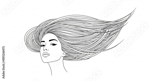 Woman with long hair blowing in the wind illustration of a female face with flowing locks minimalist line art portrait