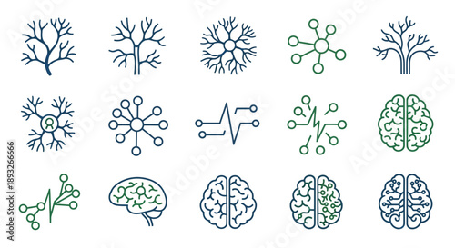 Brain Neuron Cells and Anatomy Illustrations.