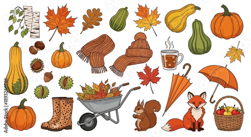 Autumn Elements Clipart Set with Leaves Pumpkins.