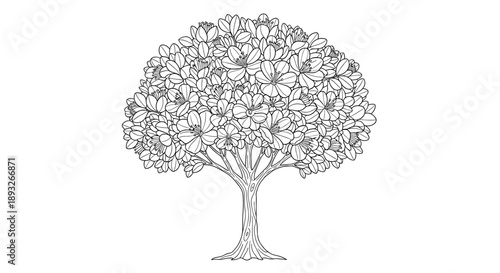 Detailed Outline Drawing of a Lush Leafy Tree 1.