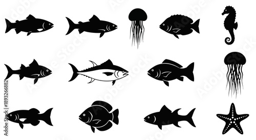 Assorted Black Silhouette Sea Creatures.