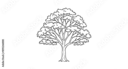 Detailed Outline Drawing of a Majestic Tree.