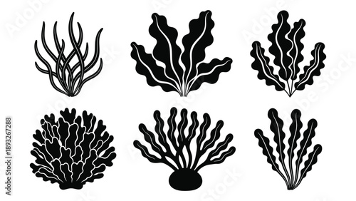 Collection of seaweed silhouettes Vector