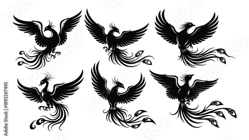 Collection of stylized phoenix silhouettes Vector