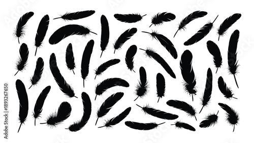 Scattered black feathers Vector
