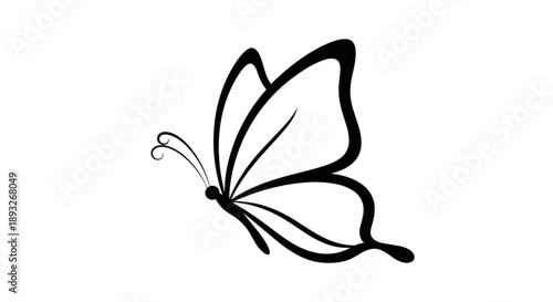 Elegant Black Outline Butterfly Illustration.