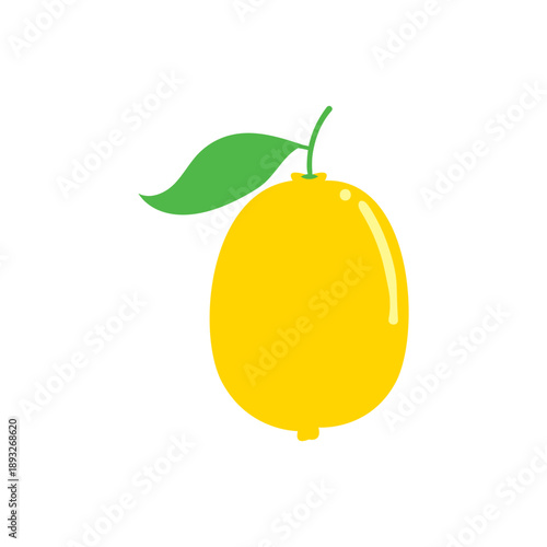 Yellow lemon vector illustration