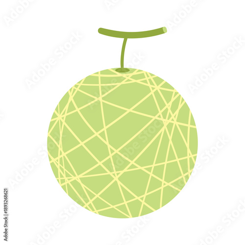 Vector illustration of a melon
