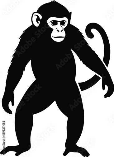 A black silhouette of a monkey standing upright with a curled tail viewed from the front