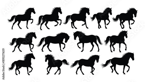 Dynamic silhouettes of horses in motion Vector