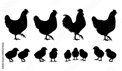 Hen rooster and chicks farm animal silhouette vector set