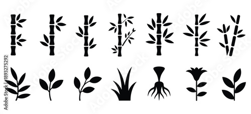 Collection of solid black sugarcane plant silhouettes with stems, leaves, and roots, ideal for agriculture, farming, crop illustrations, organic and eco-themed designs, isolated on white background