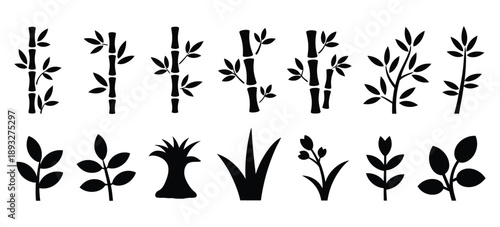 Collection of black sugarcane plant silhouettes showing stems, leaves, and roots, perfect for farming, agriculture, organic crops, eco-friendly designs