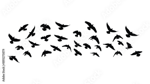 Flock of birds in flight Vector