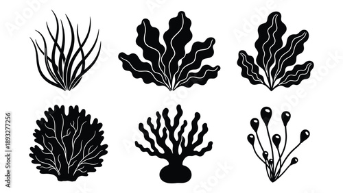 Collection of coral silhouettes Vector