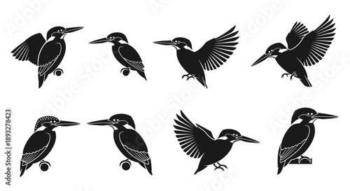 Collection of Kingfisher Illustrations in Various Flight and Perching Positions