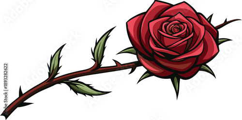 Single red rose with thorny stem illustration