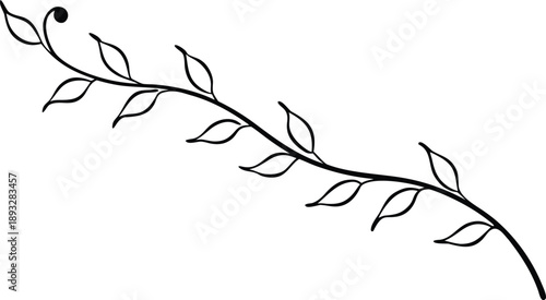 Simple black outline of a delicate vine with leaves