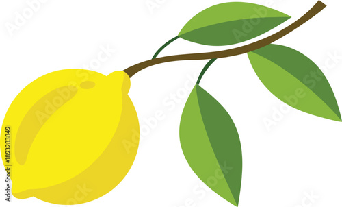 Bright yellow lemon with green leaves on a branch
