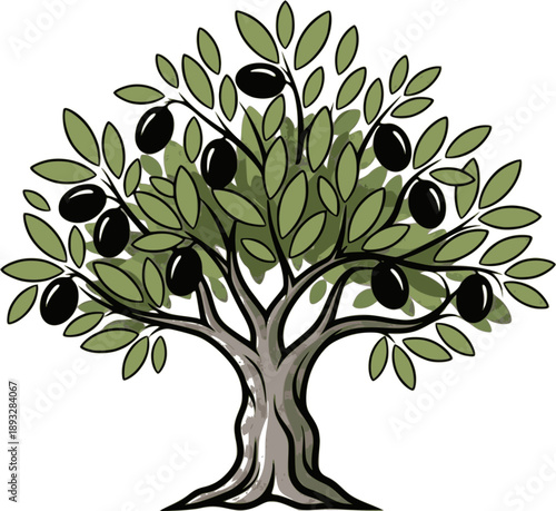 Olive trees with branches and leaves for design of packaging, label, logotype or banner. Natural organic stylized olive icon, premium quality sign. Vector illustration 