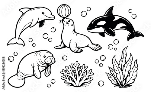 Hand drawn line art marine life set featuring a dolphin, seal, orca, manatee, coral, and seaweed with bubbles for kids' learning and aquatic designs