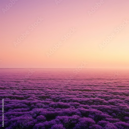 Serene abstract horizontal division illustrating a dreamy boundary between two shifting color fields, ideal for modern design templates, blurry, design, modern