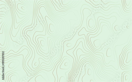 Topography background. Vector banner. Topography background. Vector geographic contour map. Background of the topographic map. Topographic map lines, contour background.