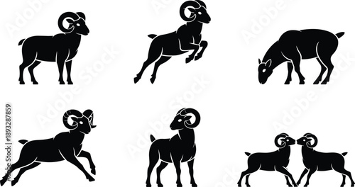 Black silhouette vector illustration set featuring various rams and bighorn sheep in different poses including jumping grazing and standing for nature wildlife and conservation design