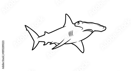 Hammerhead Shark Outline Drawing Marine Life.