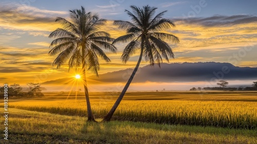 Golden sunrise over a tranquil rice paddy field with palm trees.