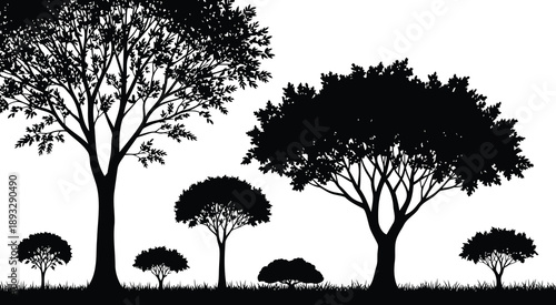 Silhouette of diverse trees at dusk minimalist black and white nature art