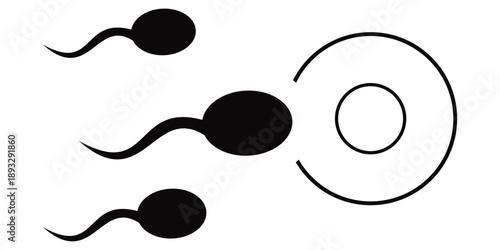 Sperm Cell (Spermatozoon) Icon Set, Black Silhouette Vector Illustration for Medical, Biology, Fertility and
 Science Concepts, Isolated on White Background