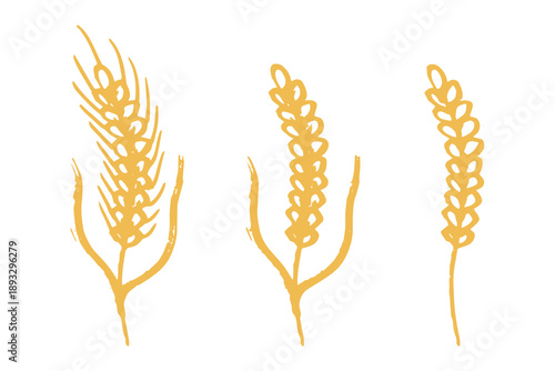 Set of hand drawn cereal wheat oat rye barley rice ears spikelet clipart Organic wheat bread agriculture farming harvest healthy food Single element for design print packaging label decor