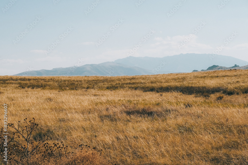 Fototapeta premium Film look landscape of Altay mountains at golden hour. Autumn steppe in East Kazakhstan with tonal perspective. Cinematic retro style, grainy texture, and warm nostalgic nature background.