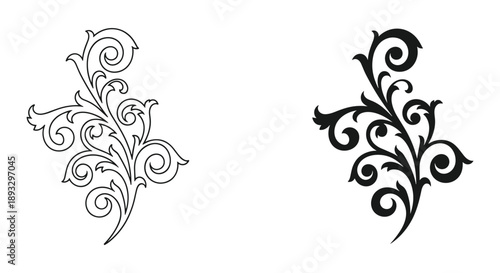 Elegant Floral Designs in Black and White