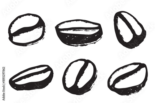 Set of hand drawn fresh roasted coffee bean Arabica robusta seed doodle Single element for design print packaging label decor
