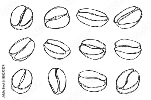Set of hand drawn fresh roasted coffee bean Arabica robusta seed doodle Single element for design print packaging label decor