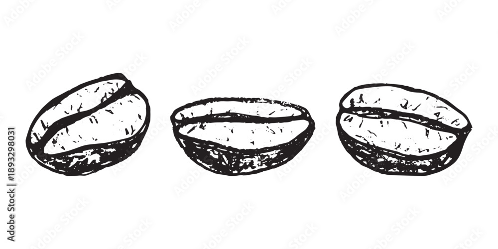 Fototapeta premium Set of hand drawn fresh roasted coffee bean Arabica robusta seed doodle Single element for design print packaging label decor