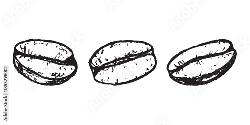 Set of hand drawn fresh roasted coffee bean Arabica robusta seed doodle Single element for design print packaging label decor