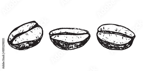 Set of hand drawn fresh roasted coffee bean Arabica robusta seed doodle Single element for design print packaging label decor