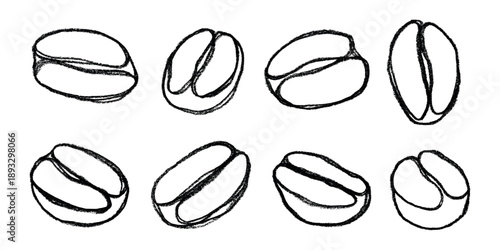 Set of hand drawn fresh roasted coffee bean Arabica robusta seed doodle Single element for design print packaging label decor