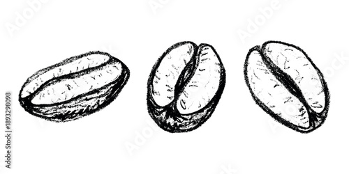 Set of hand drawn fresh roasted coffee bean Arabica robusta seed doodle Single element for design print packaging label decor