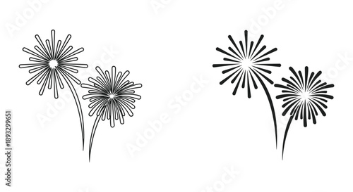 Black and White Fireworks Display