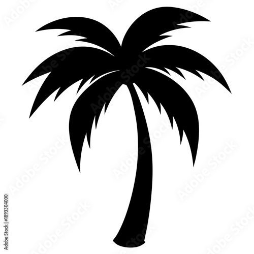 palm tree silhouette