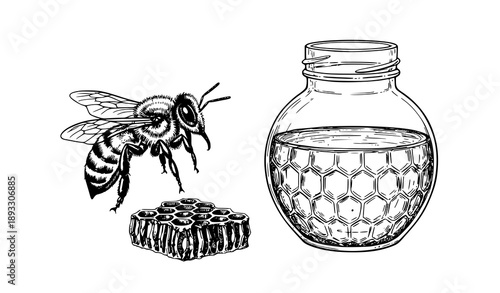 Hand-drawn bee, honey jar, and honeycomb vector set